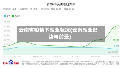 云南省疫情下就业状况(云南就业形势与前景)-第3张图片