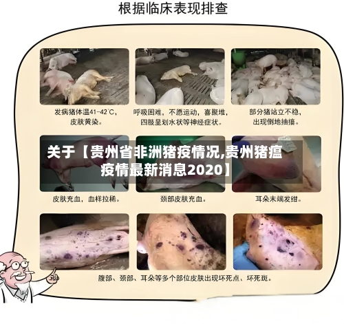 关于【贵州省非洲猪疫情况,贵州猪瘟疫情最新消息2020】-第2张图片