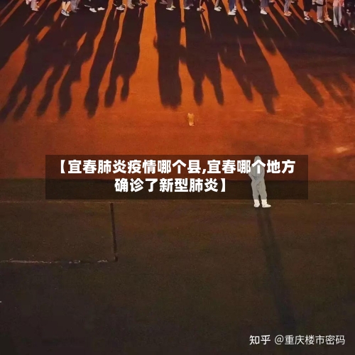【宜春肺炎疫情哪个县,宜春哪个地方确诊了新型肺炎】-第2张图片