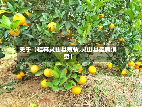 关于【桂林灵山县疫情,灵山县最新消息】-第2张图片