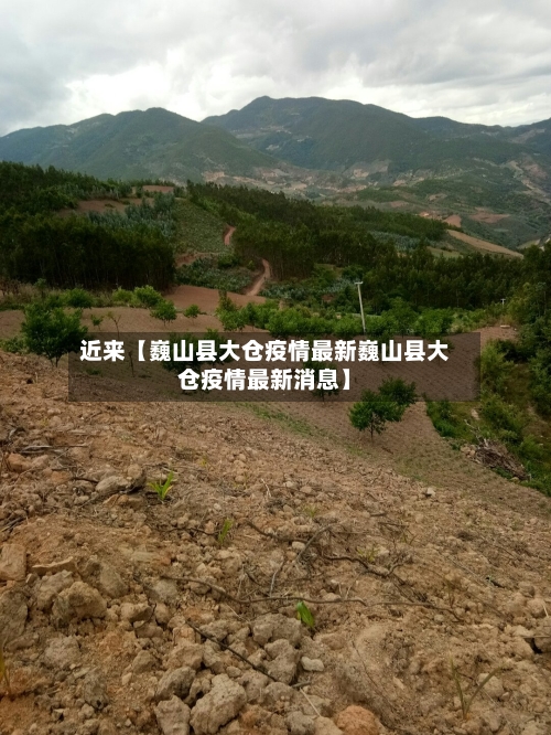 近来【巍山县大仓疫情最新巍山县大仓疫情最新消息】-第1张图片