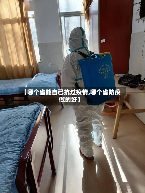 【哪个省能自己抗过疫情,哪个省防疫做的好】-第3张图片