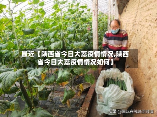 最近【陕西省今日大荔疫情情况,陕西省今日大荔疫情情况如何】-第1张图片