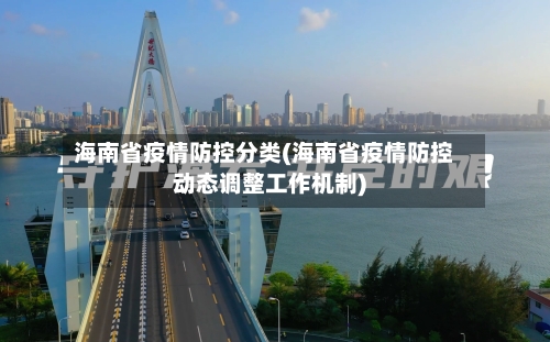 海南省疫情防控分类(海南省疫情防控动态调整工作机制)-第3张图片