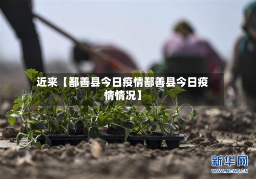 近来【鄯善县今日疫情鄯善县今日疫情情况】-第1张图片