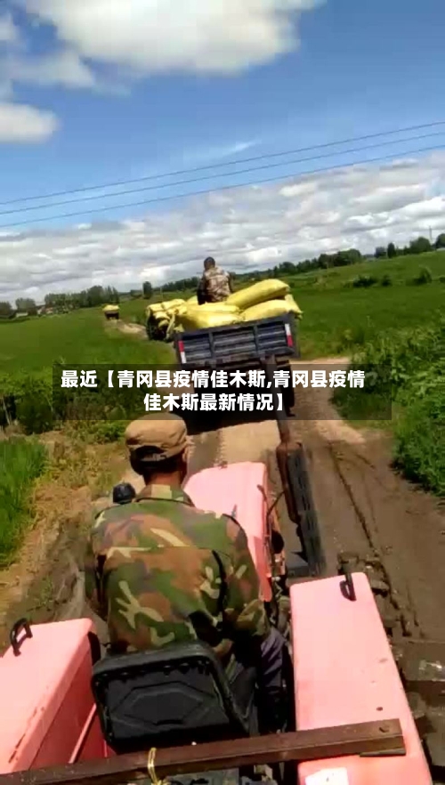 最近【青冈县疫情佳木斯,青冈县疫情佳木斯最新情况】-第3张图片
