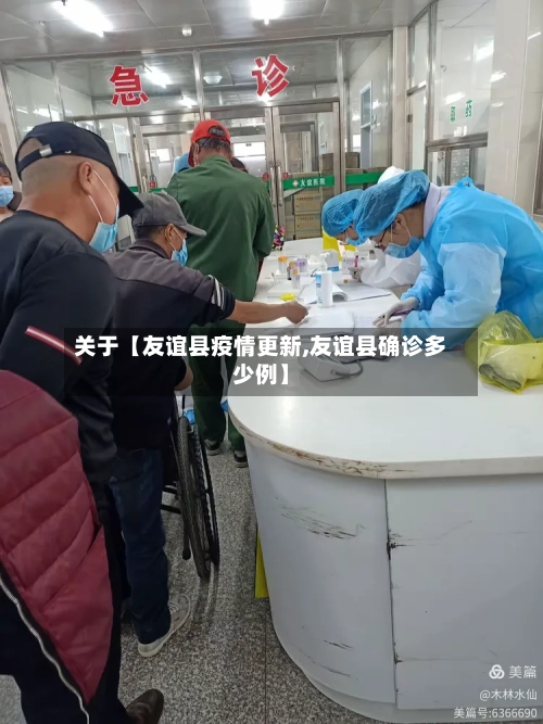 关于【友谊县疫情更新,友谊县确诊多少例】-第3张图片