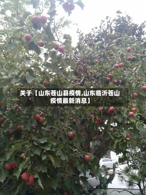关于【山东苍山县疫情,山东临沂苍山疫情最新消息】-第2张图片