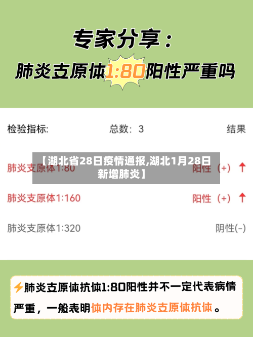 【湖北省28日疫情通报,湖北1月28日新增肺炎】-第3张图片