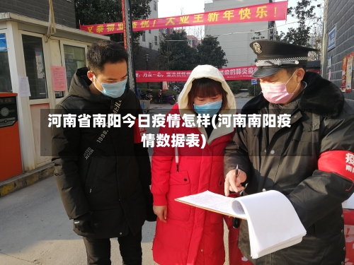河南省南阳今日疫情怎样(河南南阳疫情数据表)-第3张图片