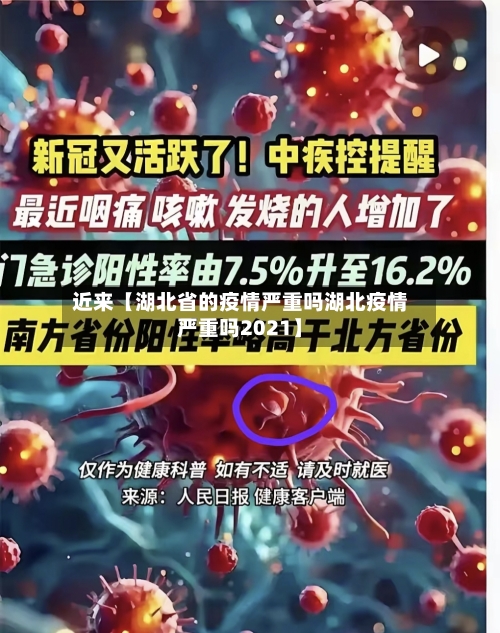 近来【湖北省的疫情严重吗湖北疫情严重吗2021】-第2张图片
