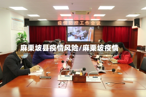 麻栗坡县疫情风险/麻粟坡疫情-第1张图片