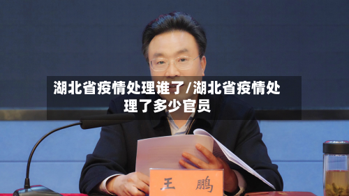 湖北省疫情处理谁了/湖北省疫情处理了多少官员-第1张图片