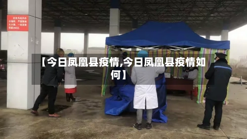 【今日凤凰县疫情,今日凤凰县疫情如何】-第2张图片
