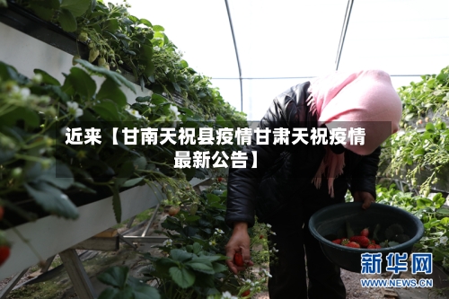 近来【甘南天祝县疫情甘肃天祝疫情最新公告】-第3张图片