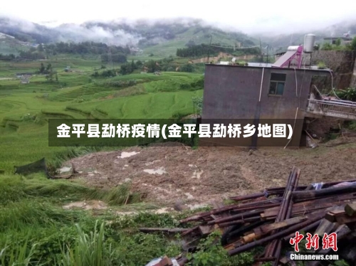 金平县勐桥疫情(金平县勐桥乡地图)-第2张图片