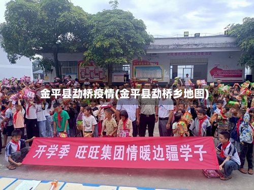 金平县勐桥疫情(金平县勐桥乡地图)-第1张图片