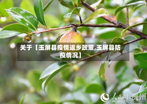 关于【玉屏县疫情返乡政策,玉屏县防疫情况】-第2张图片